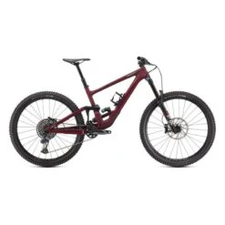 Specialized Enduro Expert